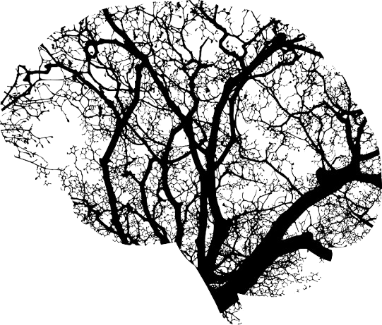 Pourquoi Neuro-Psychanalyse ?